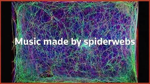 Listen to music made by spiderwebs