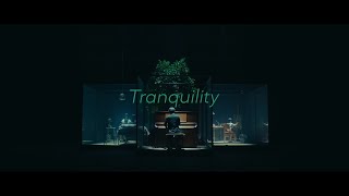 Video thumbnail of "Tranquility"