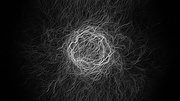 Physarum (Slime Mold) Simulations