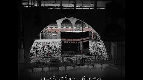 ما تيسر من سورة المائدة بصوت الشيخ ناصر القطامي 🤍