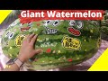 Giant Watermelon | Miss Jayn