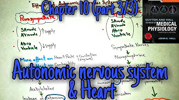 Effect of autonomic nervous system on heart - Chapter 10 part 3 Guyton and hall physiology