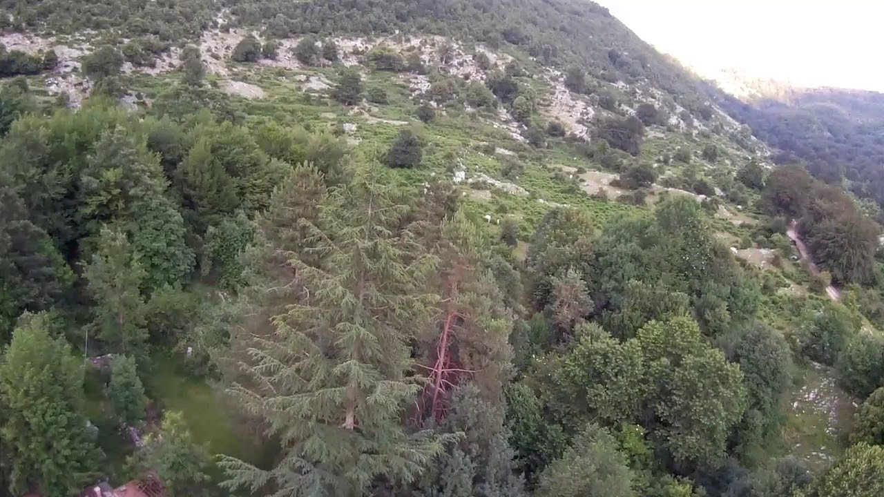 drone-mjx-bugs-2-youtube