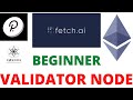 Fetch.AI Validator Node Chat. (4 Absolute Beginners/babies/infants)