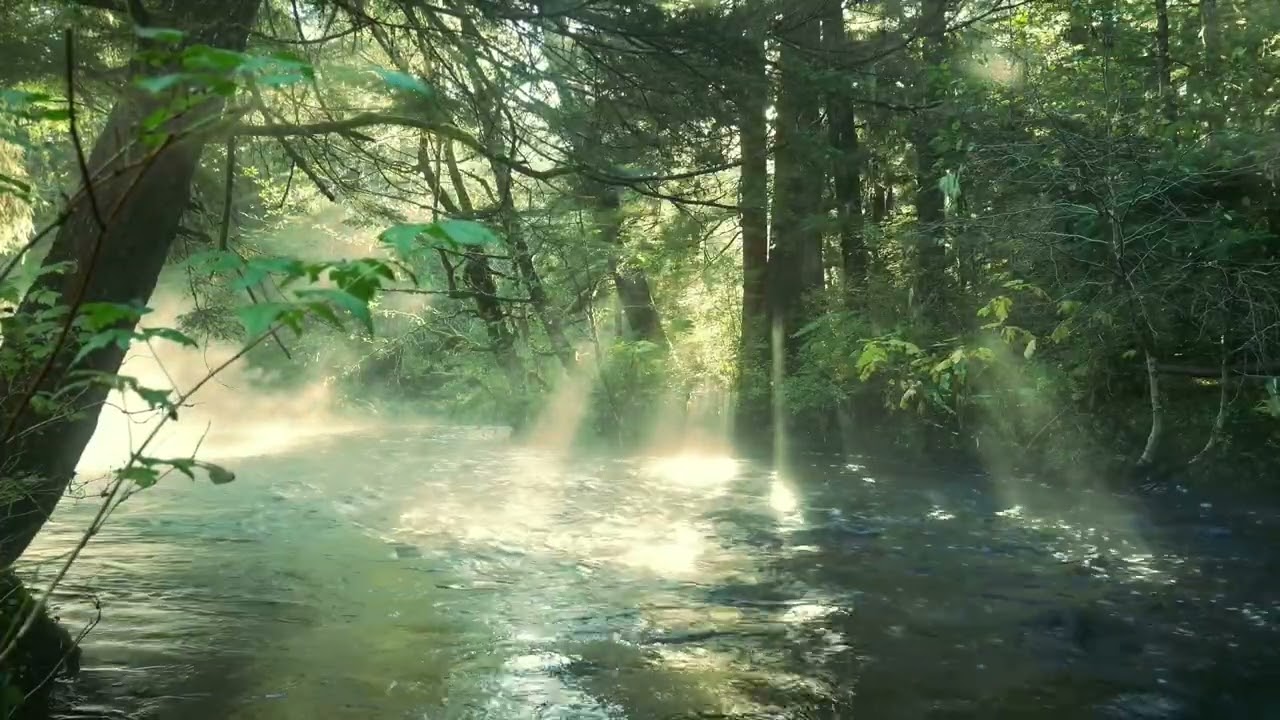 Relaxing River Sounds | 1 Hour Calm Music for Sleep, Study & Stress Relief