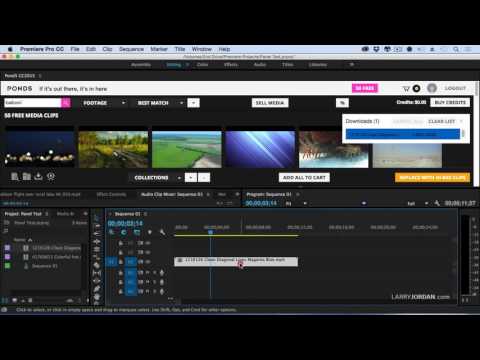 Discover the Pond5 Panel in Adobe Premiere Pro CC