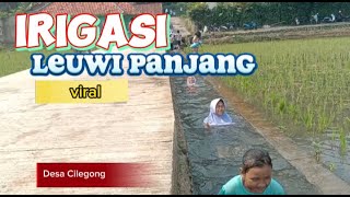 Wisata alam,irigasi Leuwi panjang di Desa Cilegong Kec Jatiluhur kab.Purwakarta yang sedang viral