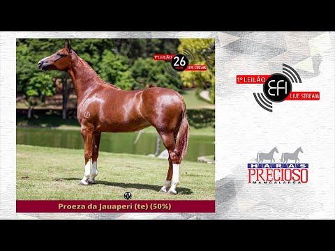 Lote 26 - Proeza da jauaperi