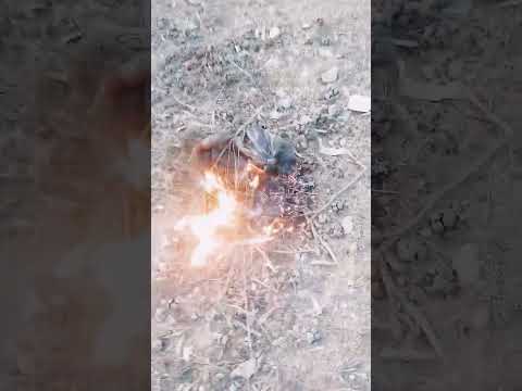 كدنا نفقد الصيطرا على نرا ويظهر الشرار لذي سيحرق الأخضر وليابس