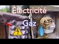 De l'électricité et du gaz chez le frelon asiatique !