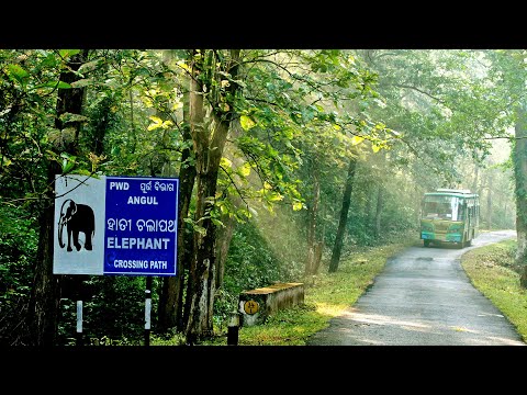 Nature Tourism in Odisha