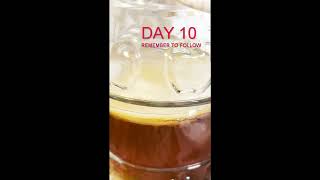 Kombucha Scoby made from scratch using SYNERGY tea Experiment (PART 2) with me friends #Kombucha