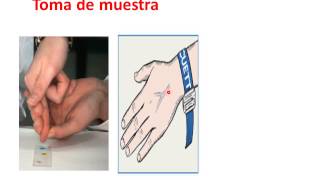 LA HEMOCLASIFICACIÓN