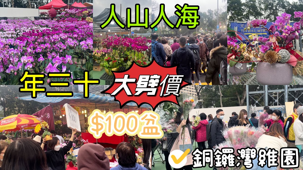 【年三十🌸大劈價】年三十維園年宵花市大劈貨〽️最平$100盆💰兩頭蘭花🪷全港最大花市💐今年無乾貨❌無熟食檔❌銅鑼灣維多利亞公園🌺