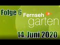 ZDF Fernsehgarten am 14. Juni 2020 | Folge 6