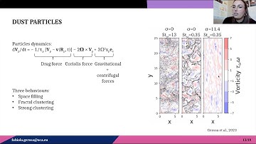 Turbulent protoplanetary disks: new results on gas and dust dynamics - Fabiola Gerosa - 13/02/2023