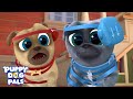 Up and at 'Em | Puppy Playcare | Puppy Dog Pals | Disney Junior