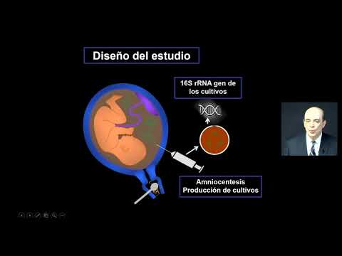 Congreso internacional Medicina materno fetal y cuidado crítico obstétrico - Día 2