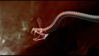 Cynthia Harrel - Snake Eater Metal Gear Solid 3 Snake Eater