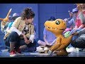 松本岳、橋本祥平ら出演！超進化ステージ『デジモンアドベンチャー tri.』公開ゲネプロ