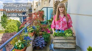 Which Herbs Can You Plant In The Shade + Growing Tips