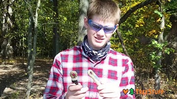 Yale Veritas 10mm Sewn Eye and Eye - TreeStuff.com Customer Matt Humphries