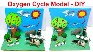 oxygen cycle model making science project for exhibition - simple and easy - diy | DIY pandit