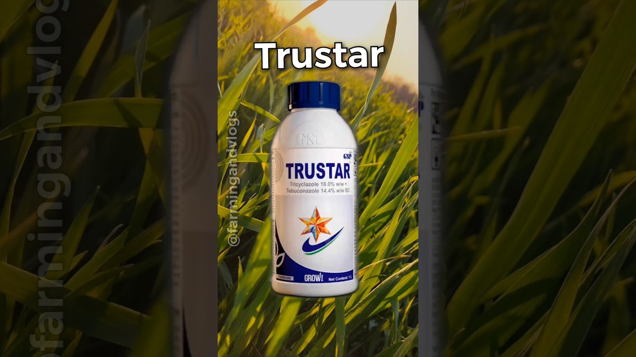 🍄 Trustar 🍄 Gsp Crop Science | Fungicide|
