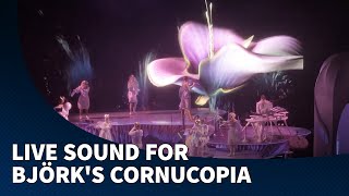 d&b Soundscape at Björk's Cornucopia Show, Perth Festival