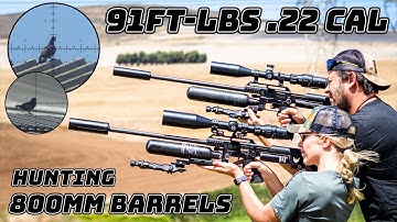 91Ft-Lbs .22 CAL | FX Impact M3 800mm | FX Impact MK2 800mm | FX Impact M3 Compact | Pest Control