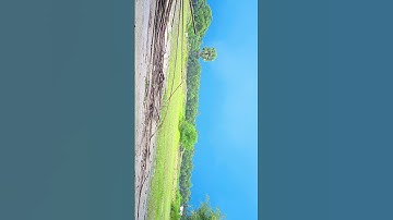 SHOOT ON BEAUTIFUL SKY PHOTO GRAPHY || IN GCAM LMC 8.4 R18 #youtubeshorts #gcam #viralshort #shrot