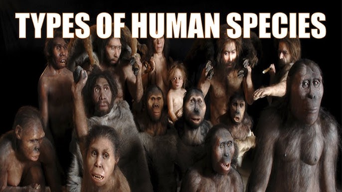 14 Different Types of Human Species | Explained - YouTube