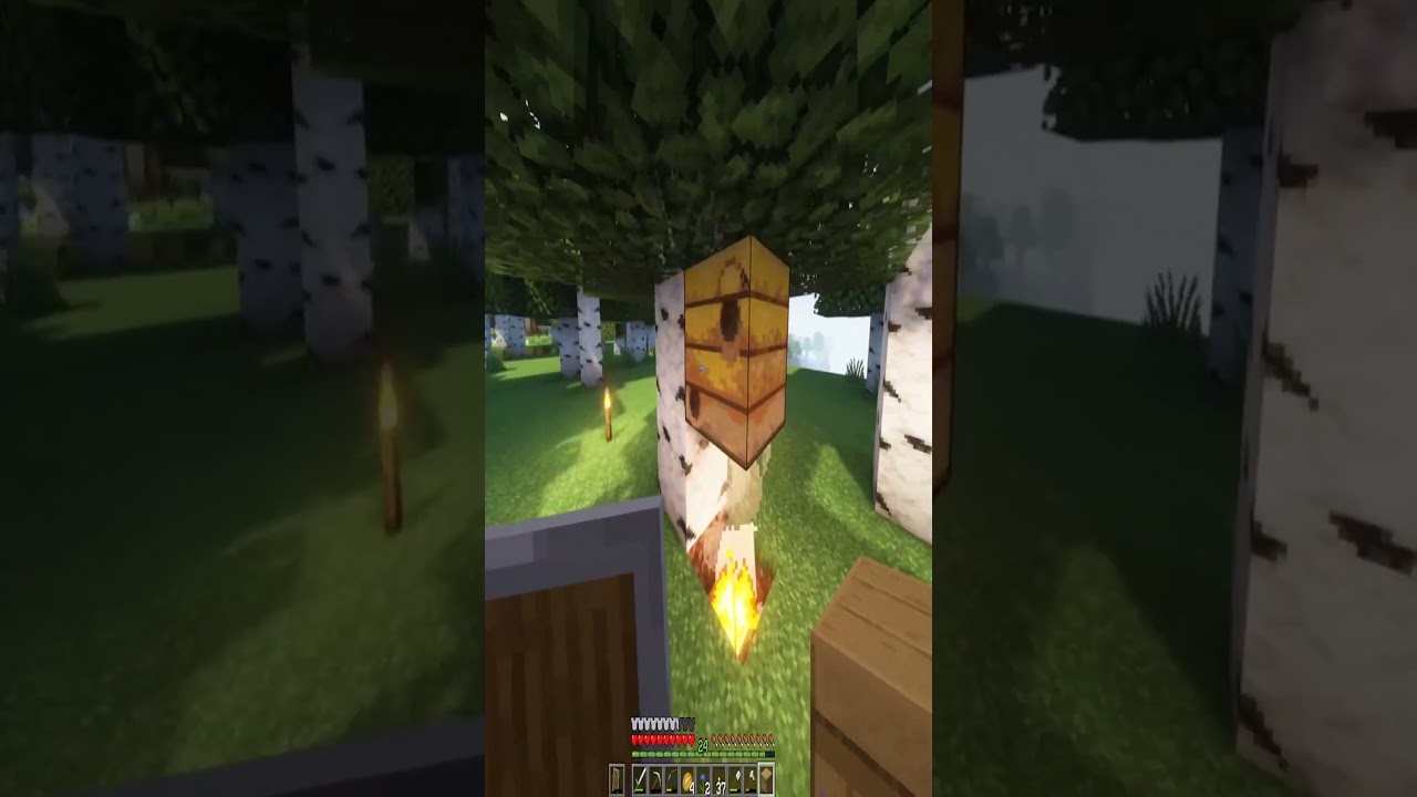 Como tener abejas en MINECRAFT!  