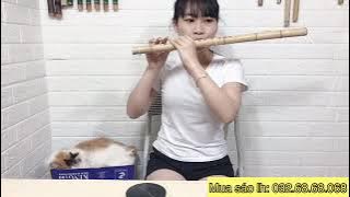 Xuân Về Bản Mông   Sáo Mèo Oanh Cún