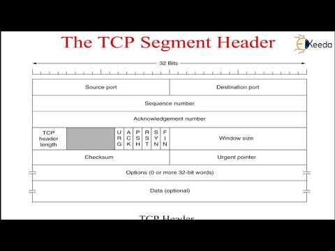 Video: Co je segment vysvětlit každé pole TCP segmentu?