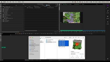 Avid Media Composer - Lesson 12 - Importing Photos