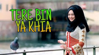 DJ TERE BIN YA KHIA / INDIA MEGAMIX