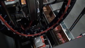 42945 BluePrint Automation (BPA) Robotic Top Load Case Packer