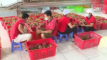 Tập trung tháo gỡ khó khăn, thúc đẩy sản xuất, tiêu thụ nông sản