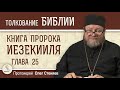 Книга пророка Иезекииля. Глава 25 &quot;Наказание окрестных народов&quot;  Протоиерей Олег Стеняев