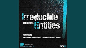 Irreducible Entities (De Hessejung Remix)