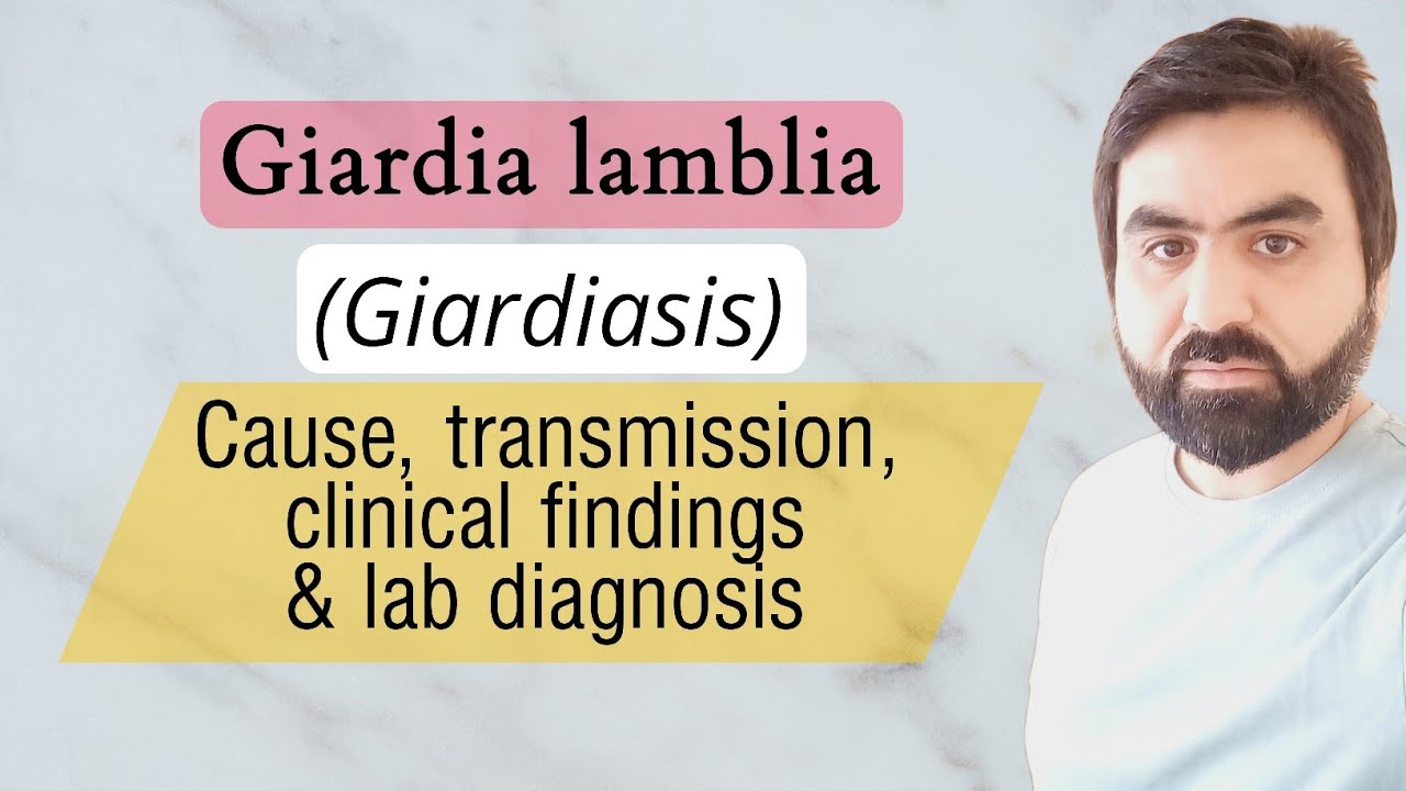 giardia disease in urdu