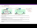 IPv6 Link Local Addressing