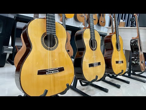 Đập Hộp Guitar Cao Cấp – Sakurai Maestro R.F 2022 ( 9.500 USD ) Gỗ Hồng Sắc Nam Mỹ Quý Hiếm .