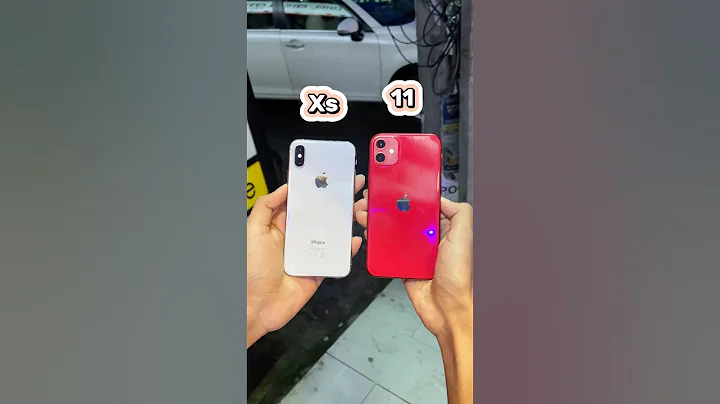 iPhone Xs Vs iPhone 11 || Camera Zoom Test! #shorts