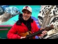 Manu Chao - Como un animal - 2a parte (Official Live Video)