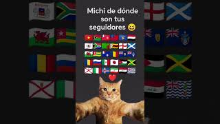 Michi de dónde son seguidores #cat 😆