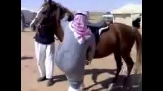 Video Lucu Arab GILA 2015 Vidio Arab Lucu Arab Gokil Video Lucu Arab Terbaru Arab Lucu Video Terbaru