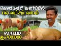 Agriculture and organic farming profitable PIG farm RS 700000 agriculture in tamil