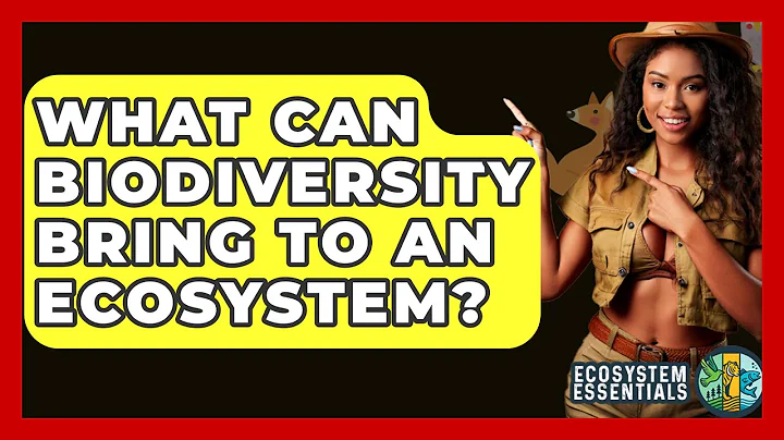 What Can Biodiversity Bring To An Ecosystem? - Ecosystem Essentials